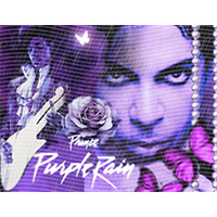 idol singer-GS  1161